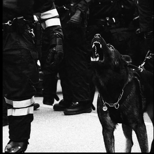 亚洲欧美后入中出视频
