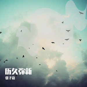 亚洲欧美后入中出视频
