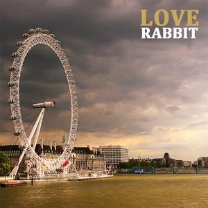 亚洲欧美后入中出视频
